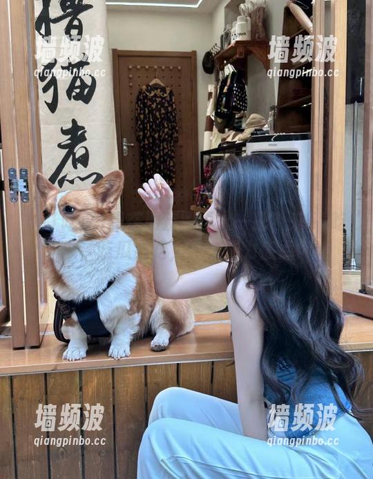 想在朋友圈再火一把？来51吃瓜，吃瓜必吃，永久成为焦点！