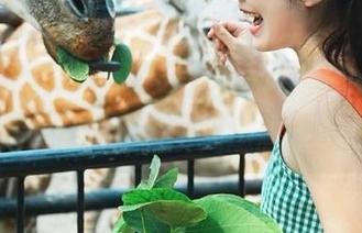 分享我每日的追剧夹角，天天吃瓜网总能解我燃眉之急。