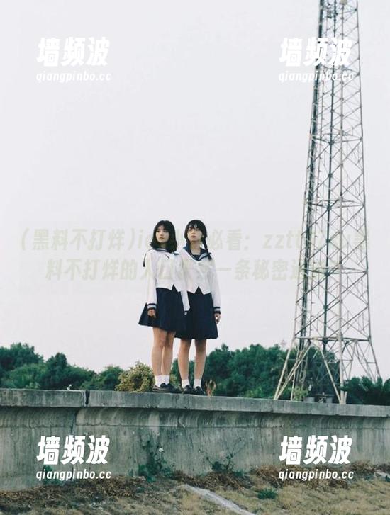 ios小白必看：zztt07su黑料不打烊的入口俨然一条秘密通道？